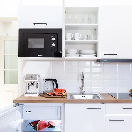 Apartment Turnkey I Antonin Dvorak Prague